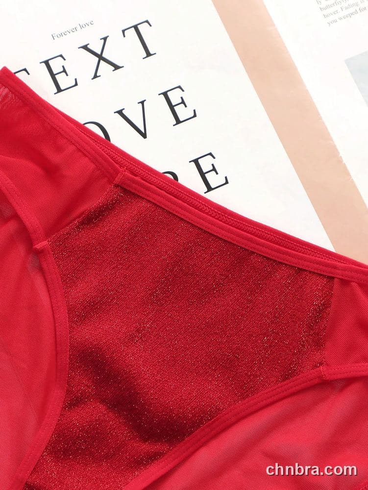 Women's Red Sheer Mesh Bikini Panties – Wholesale Panties Manufacturing Factory 2