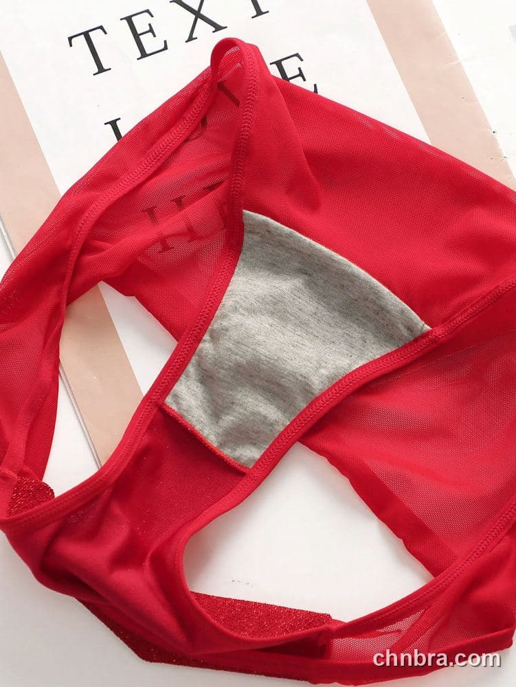 Women's Red Sheer Mesh Bikini Panties – Wholesale Panties Manufacturing Factory 5