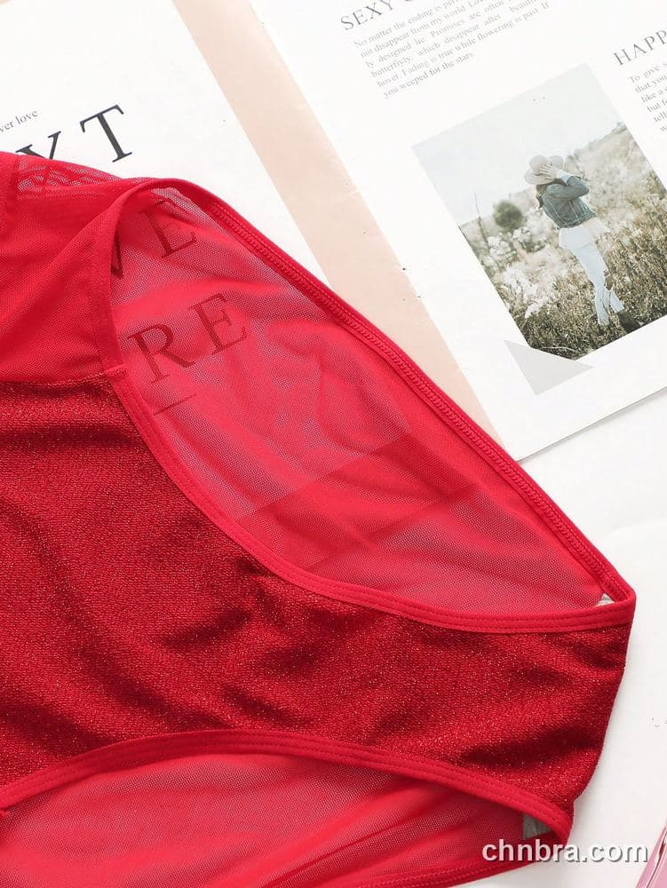 Women's Red Sheer Mesh Bikini Panties – Wholesale Panties Manufacturing Factory 6