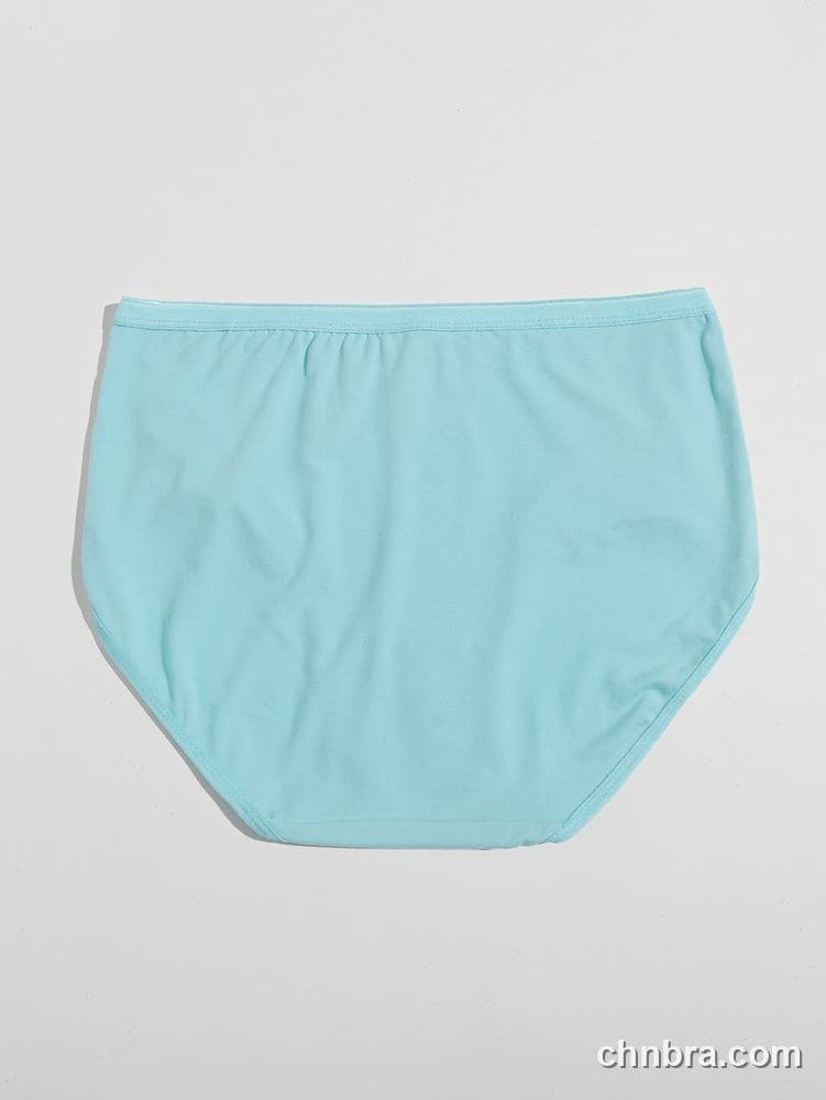 Custom Mint Smooth High-Rise Briefs – Wholesale Direct from Factory 2