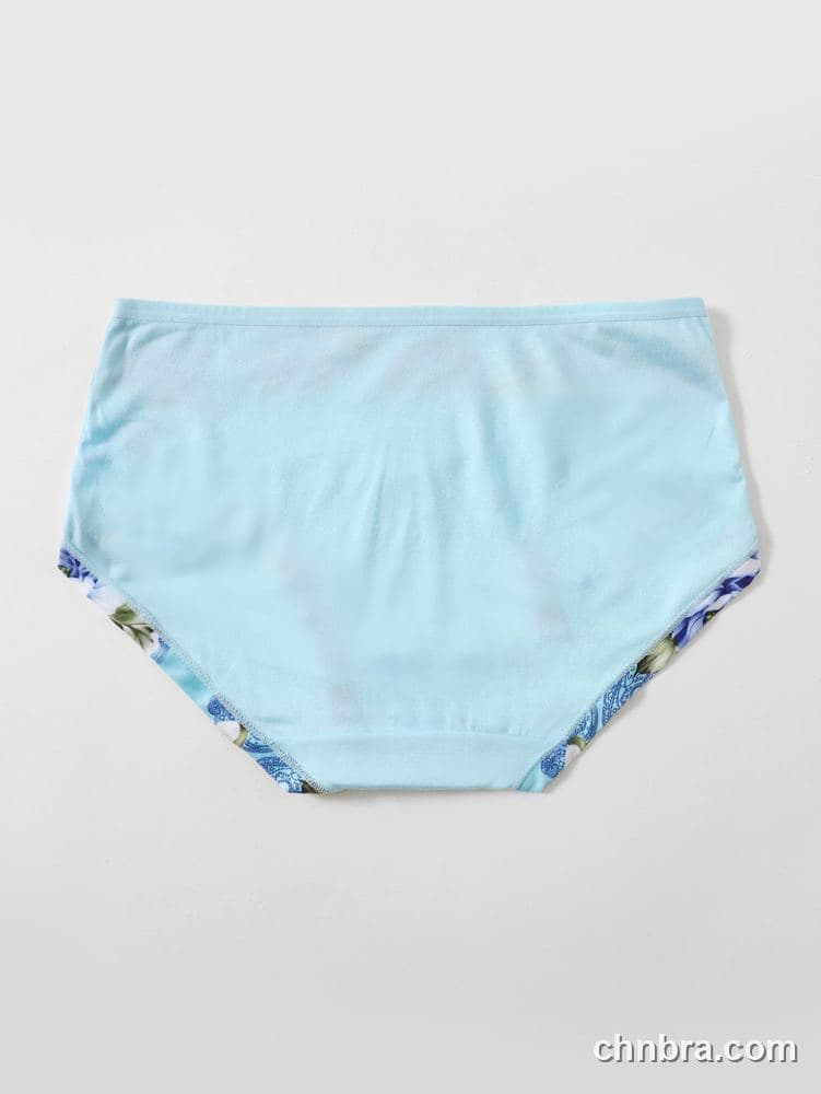 Cream Smooth Hipster Panties – Factory Wholesale, Everyday Wear 7
