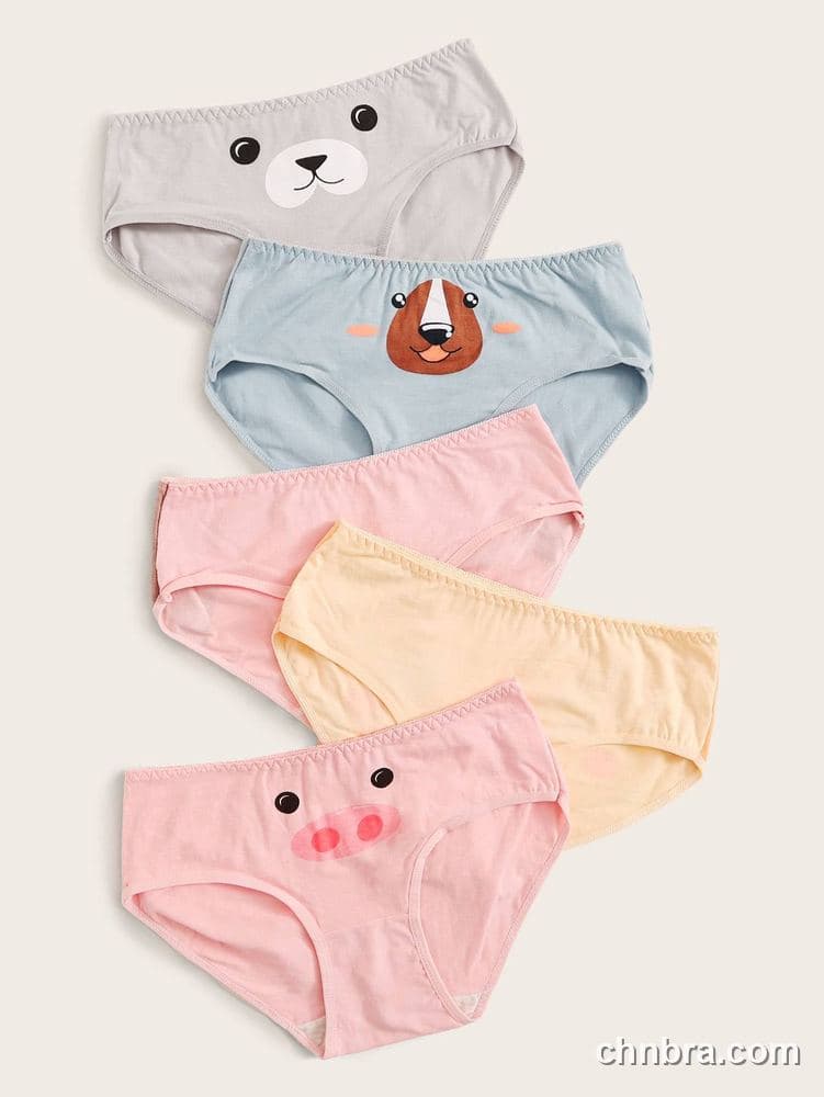 Custom Cotton Hipster Panties 5-Pack – Wholesale Direct from Factory 3