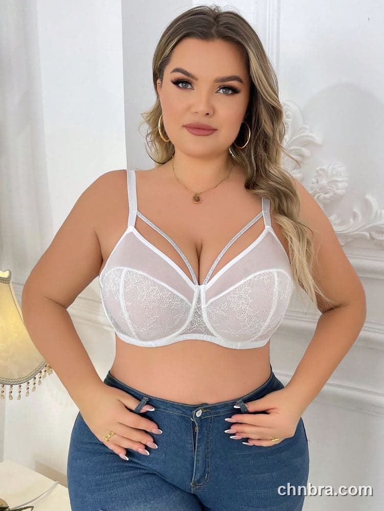 Plus Size Black Lace Cups + Sheer Mesh Bra – OEM / ODM Lingerie Manufacturer 13