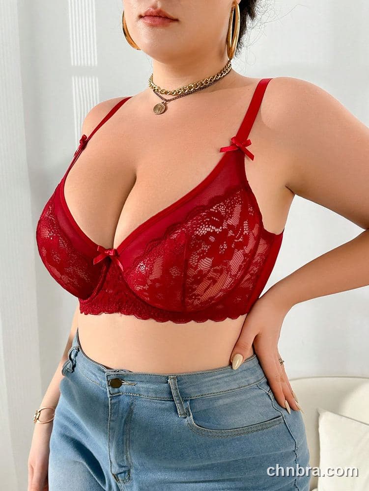 Custom Plus Size Red Sheer Mesh + Lace Bra – Wholesale Direct from Factory 3