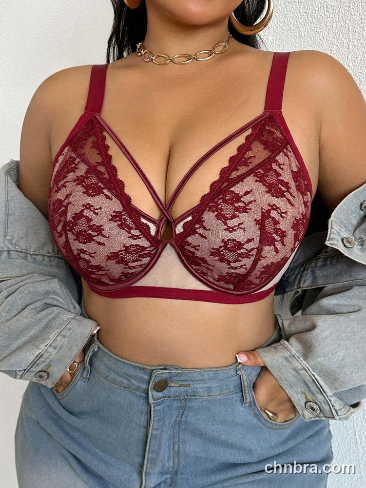 DesireSculpt Plus Size Burgundy Sheer Lace Strappy Plunge Bra – Factory Wholesale 3