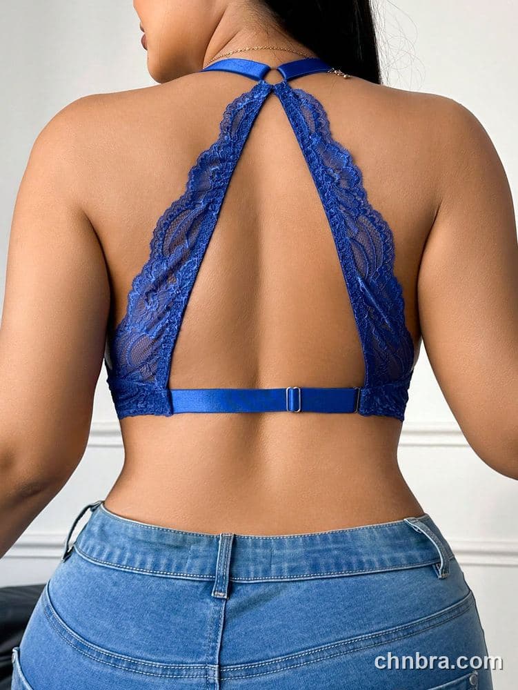 Wholesale Plus Size Lace Halter Bra – Direct Factory 2