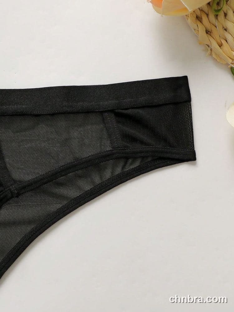 Women's Plus Size Solid Black Sheer Mesh Cheeky Brief – Factory Wholesale 4