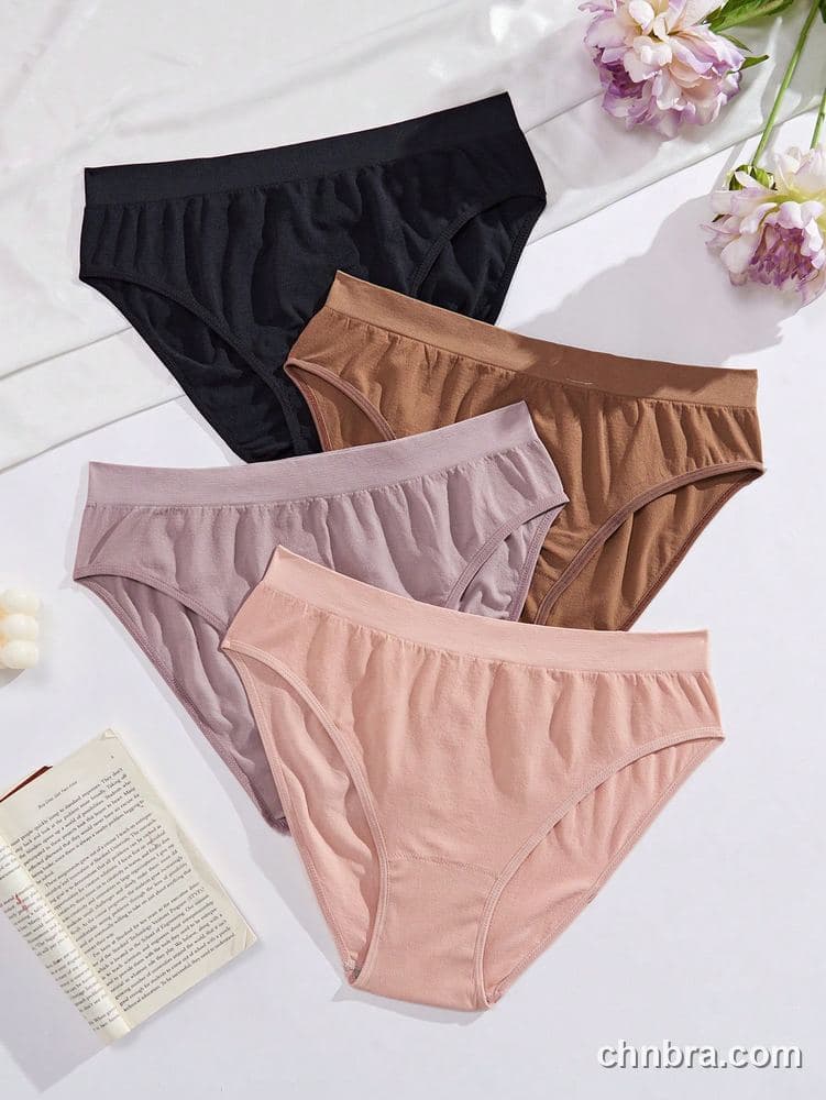 Women's Plus Size Seamless Bikini Brief 4-Pack – Factory Wholesale