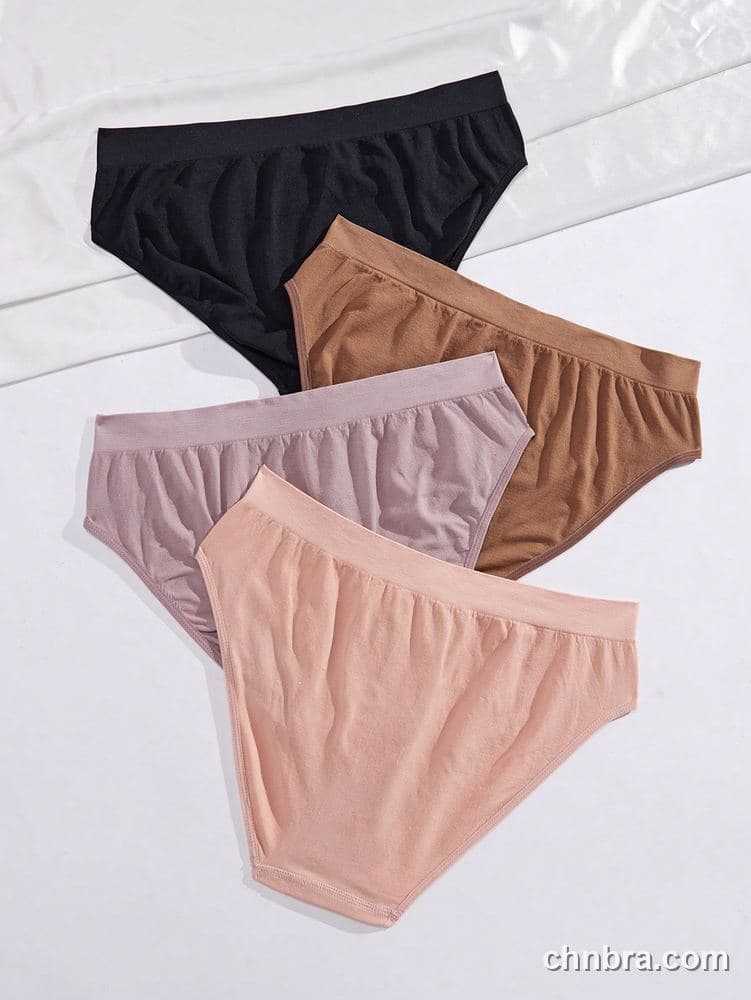 Women's Plus Size Seamless Bikini Brief 4-Pack – Factory Wholesale 2
