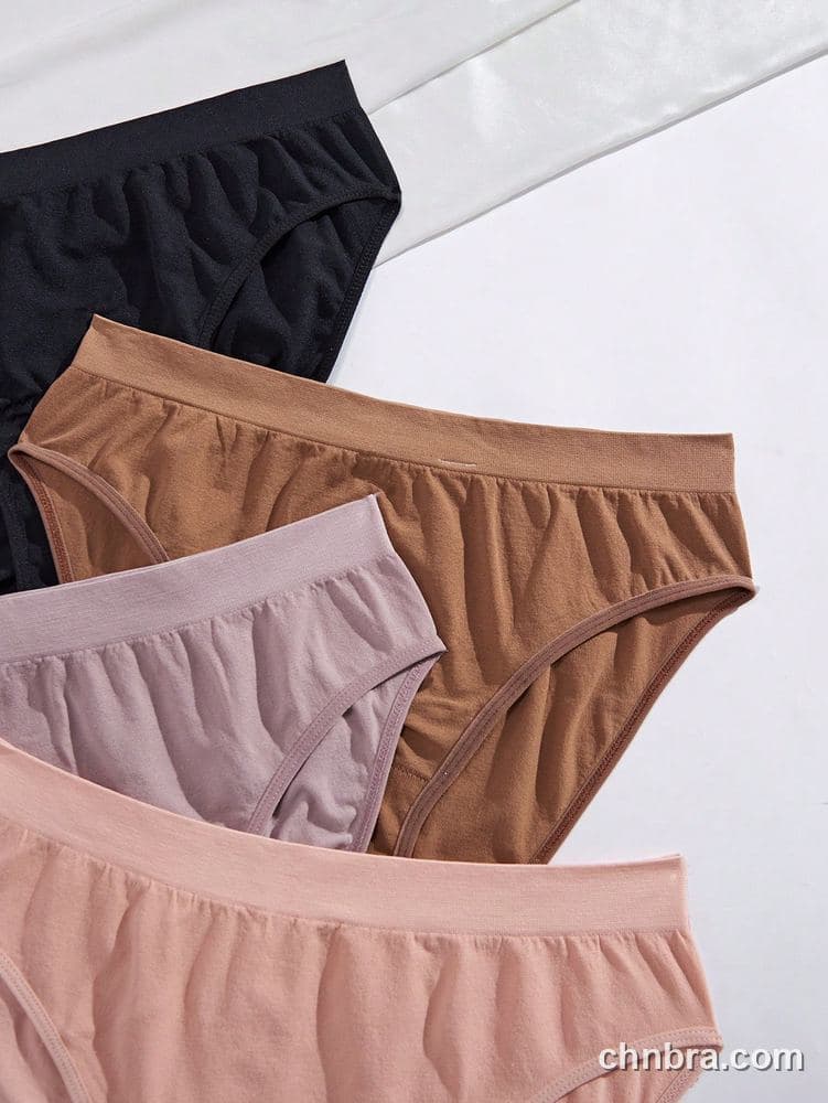 Women's Plus Size Seamless Bikini Brief 4-Pack – Factory Wholesale 5