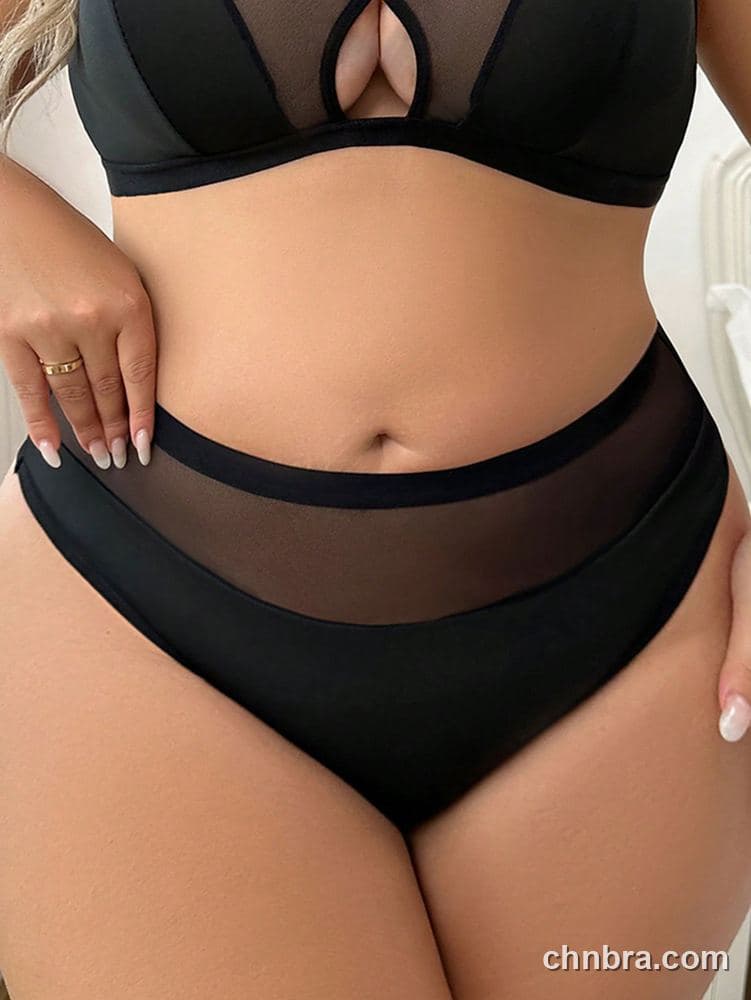 Plus Size Solid Black Mesh-Panel High-Waist Brief – Wholesale Panties Manufacturing Factory