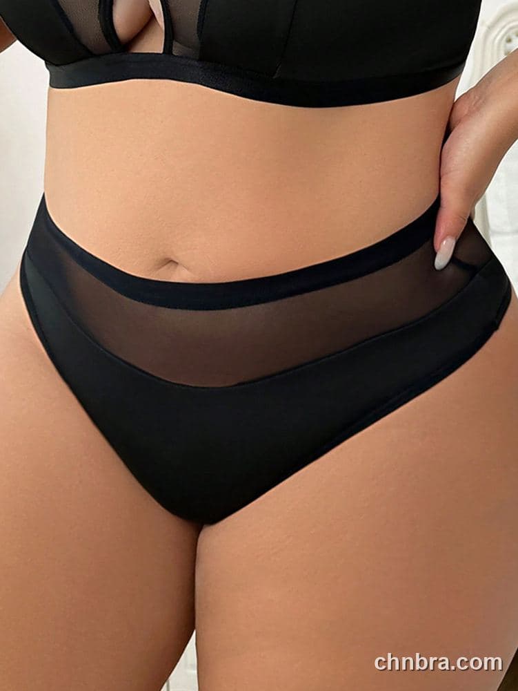 Plus Size Solid Black Mesh-Panel High-Waist Brief – Wholesale Panties Manufacturing Factory 3