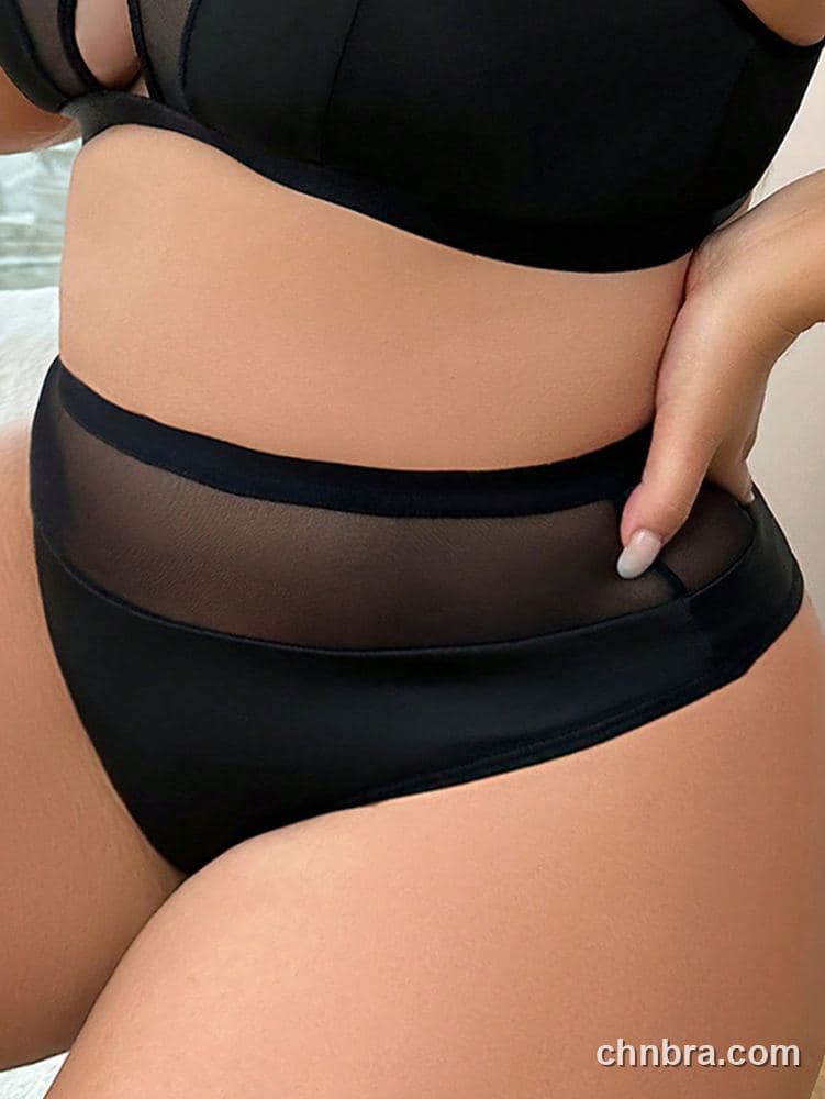 Plus Size Solid Black Mesh-Panel High-Waist Brief – Wholesale Panties Manufacturing Factory 4