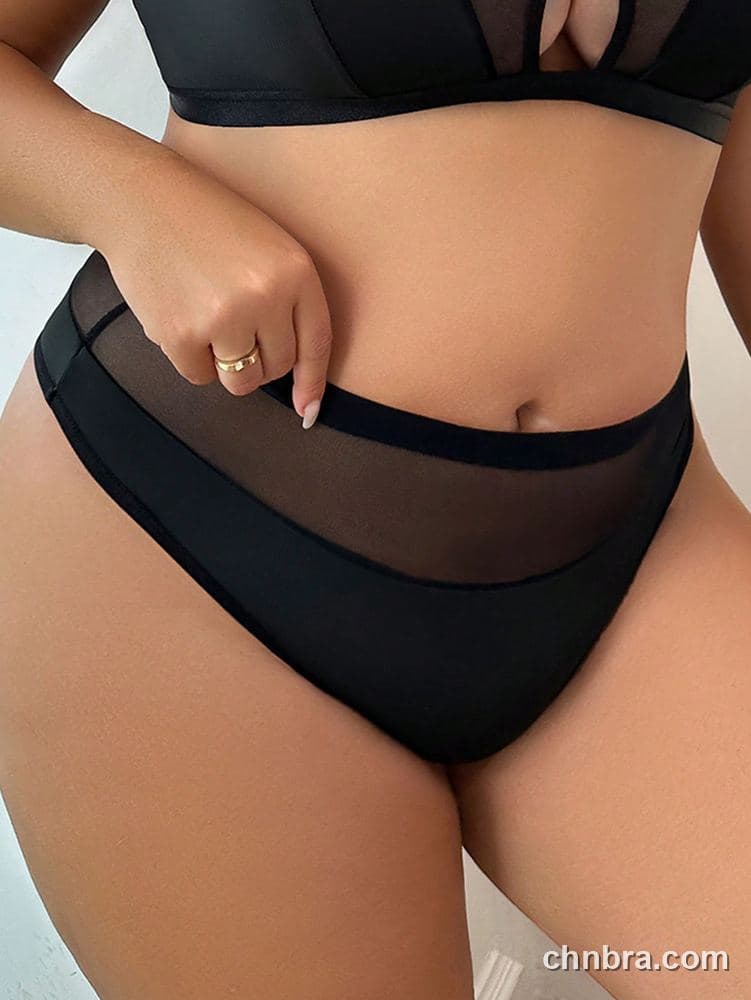 Plus Size Solid Black Mesh-Panel High-Waist Brief – Wholesale Panties Manufacturing Factory 5
