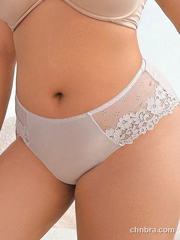 Wholesale Plus Size Solid Caramel Dot Mesh Lace Brief – Direct Factory 11
