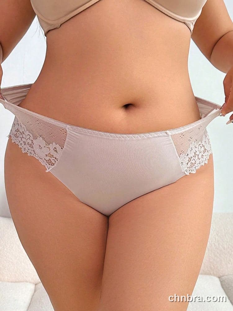 Wholesale Plus Size Solid Caramel Dot Mesh Lace Brief – Direct Factory 12