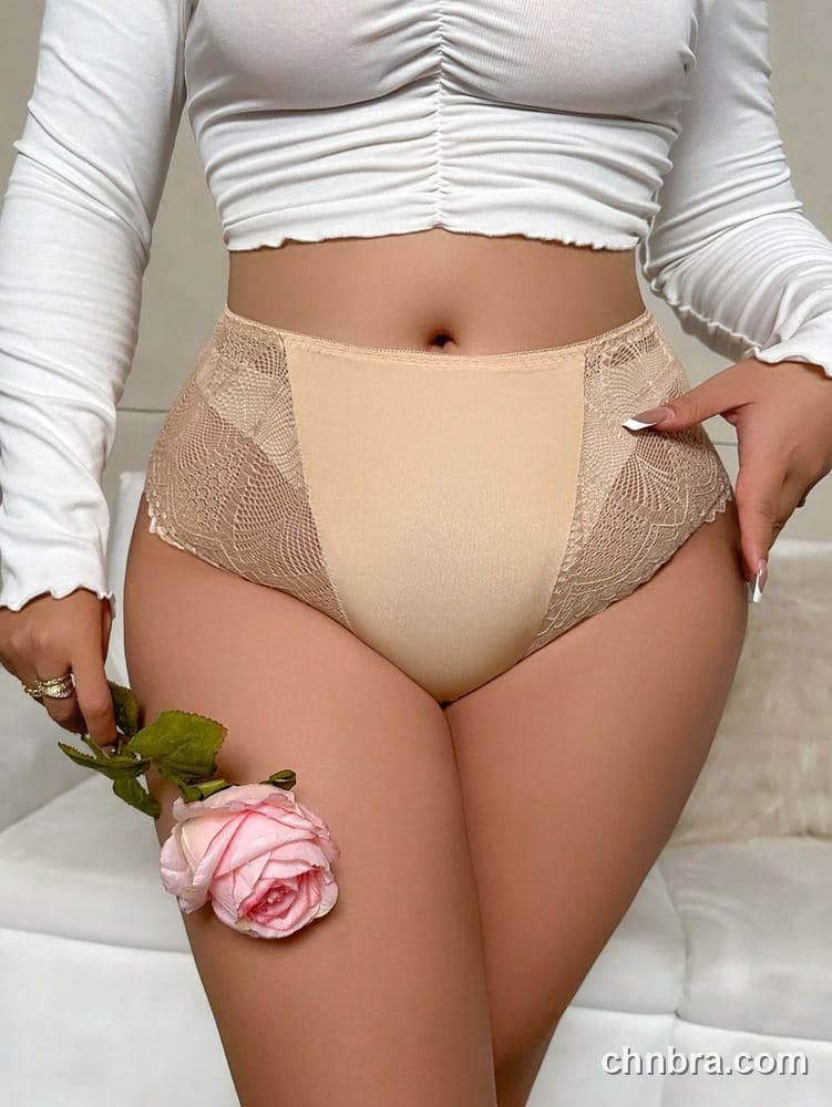 Plus Size Solid Black Crochet Lace High-Waist Brief – Wholesale Panties Manufacturing Factory 15