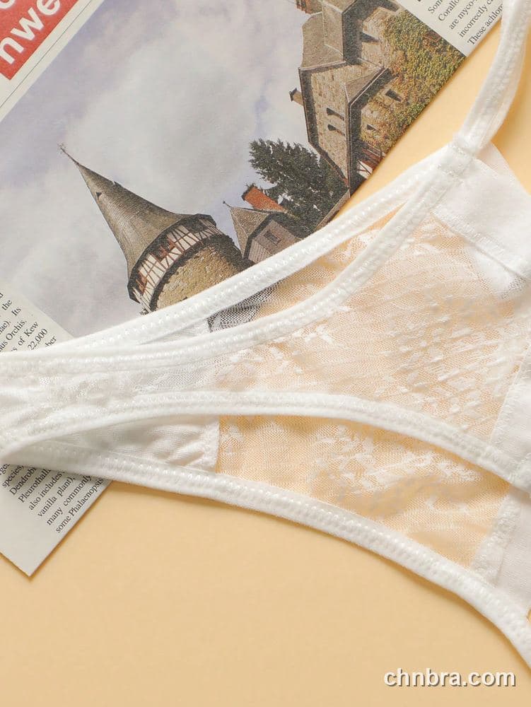 White Sheer Lace G-String – Bulk Wholesale, Lingerie Supplier 4