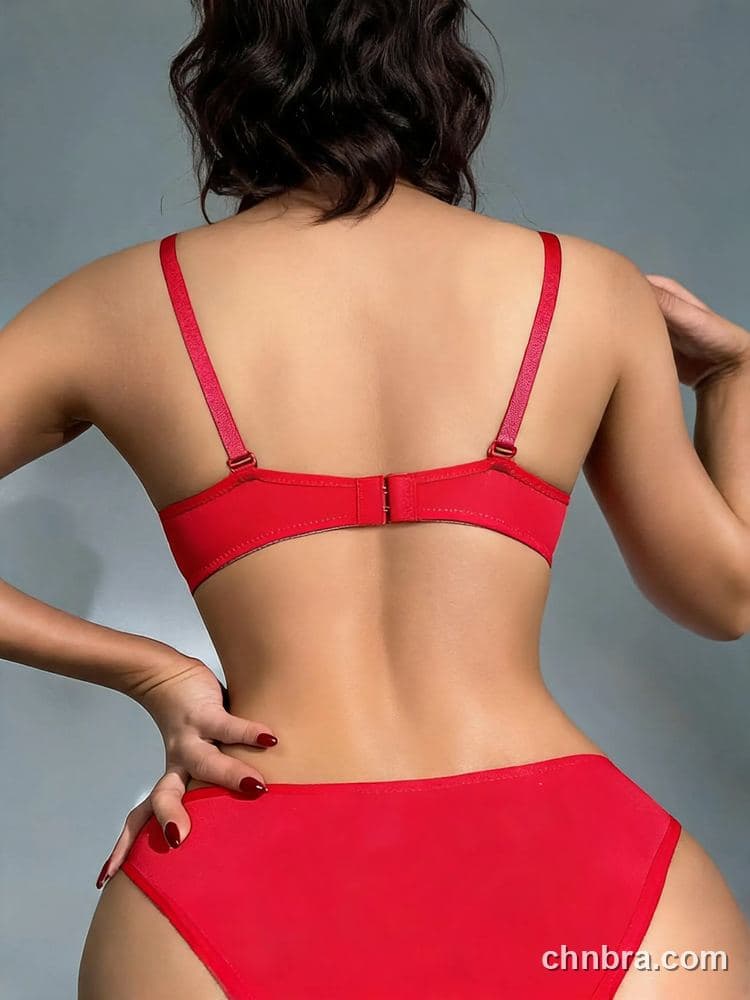 Elacene Women's Red Two-Tone Lace Push-Up Bra & Panty Set – Direct Factory Wholesale 2