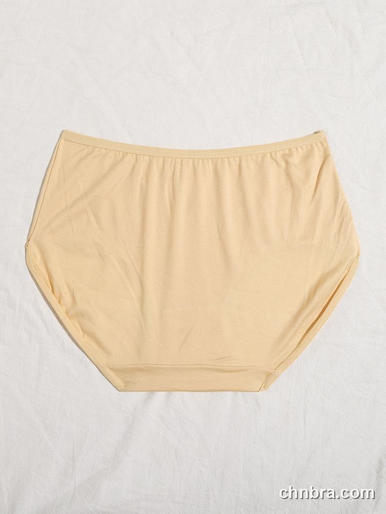 Wholesale Women's Beige Cotton-Feel Briefs – Direct Factory 2