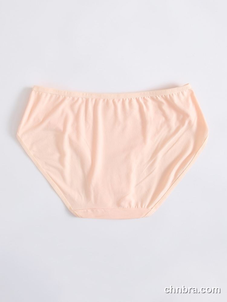 Aqua Smooth Mid-Rise Briefs – Factory Wholesale, Everyday Wear 12