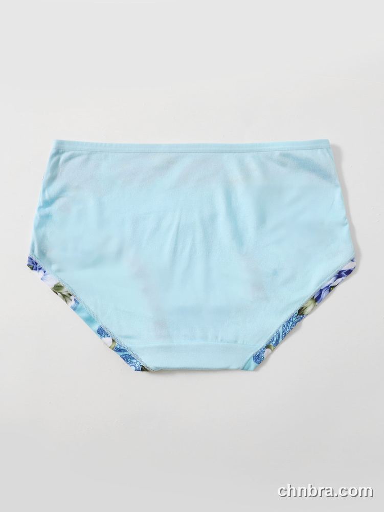 Cream Smooth Hipster Panties – Factory Wholesale, Everyday Wear 7