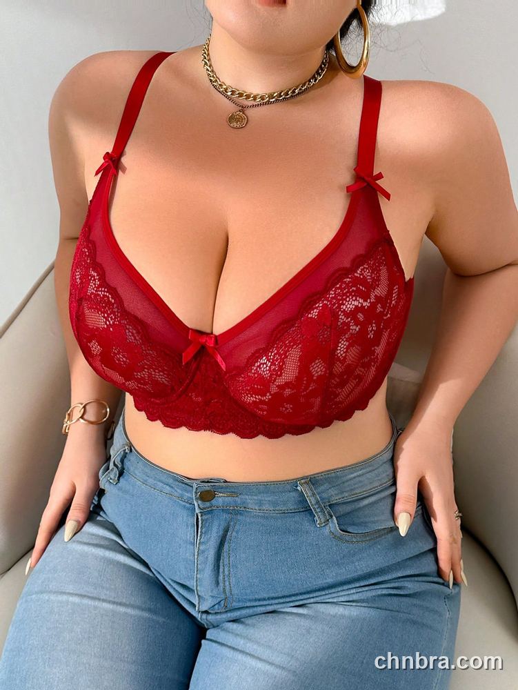 Custom Plus Size Red Sheer Mesh + Lace Bra – Wholesale Direct from Factory 4