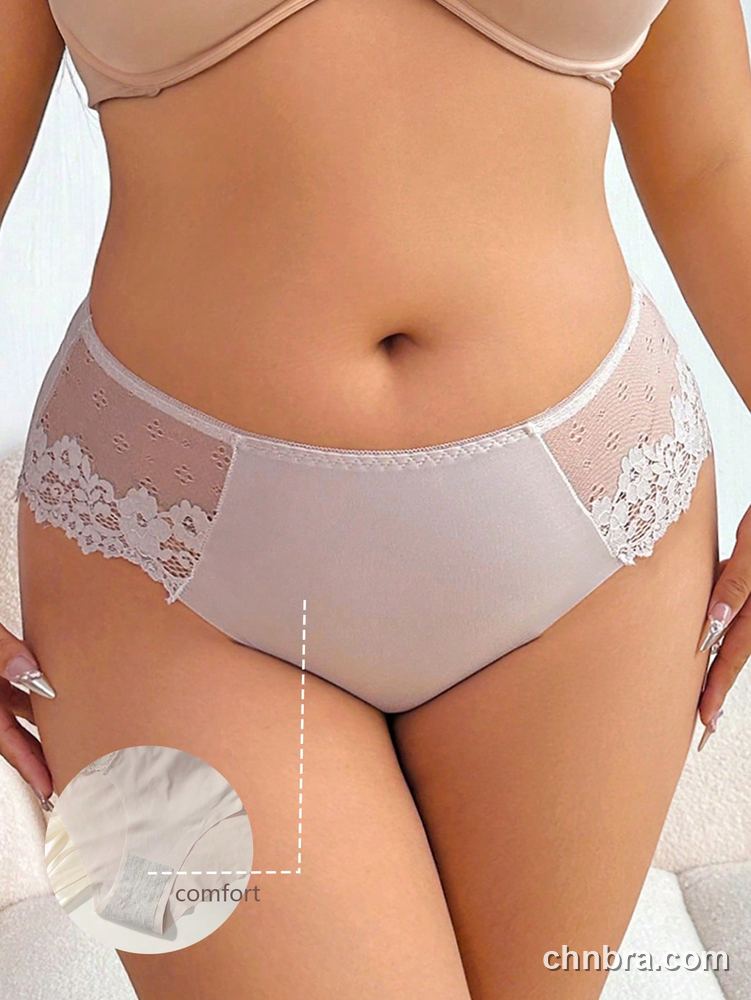 Wholesale Plus Size Solid Caramel Dot Mesh Lace Brief – Direct Factory 8